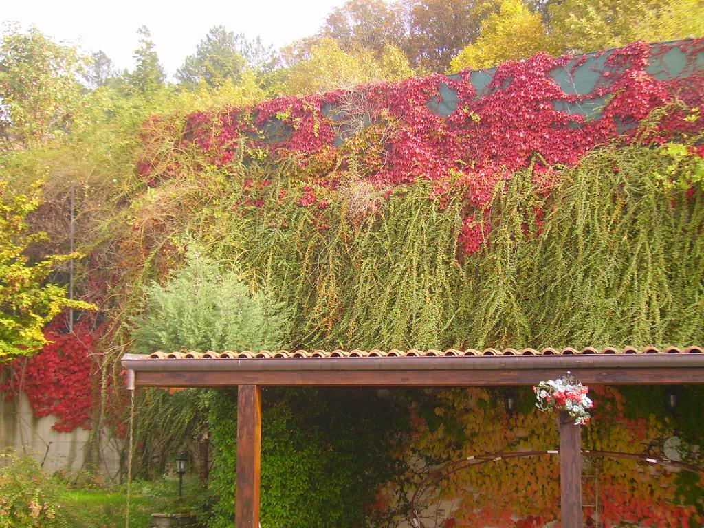 B&B Margherita Le Fiabe SantʼAgata Feltria Buitenkant foto